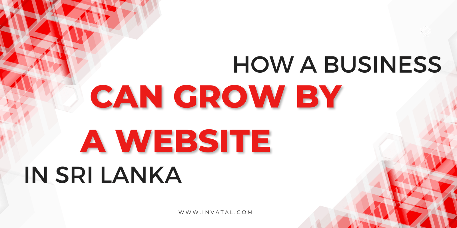 HOW A BUSINESS CAN GROW THROUGH A WEBSITE IN SRI LANKA